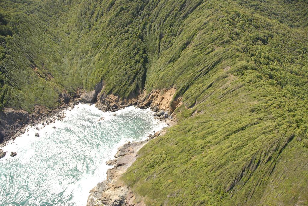 Carribbean Madicreole Au Carbet Villa Le Carbet Ngoại thất bức ảnh