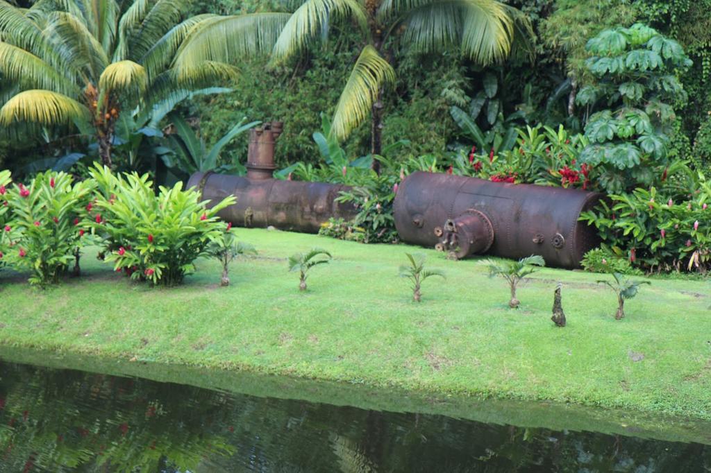 Carribbean Madicreole Au Carbet Villa Le Carbet Ngoại thất bức ảnh